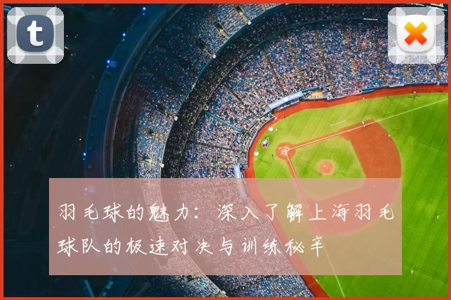 羽毛球的魅力：深入了解上海羽毛球队的极速对决与训练秘辛