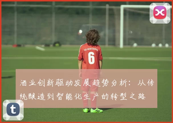 酒业创新驱动发展趋势分析：从传统酿造到智能化生产的转型之路