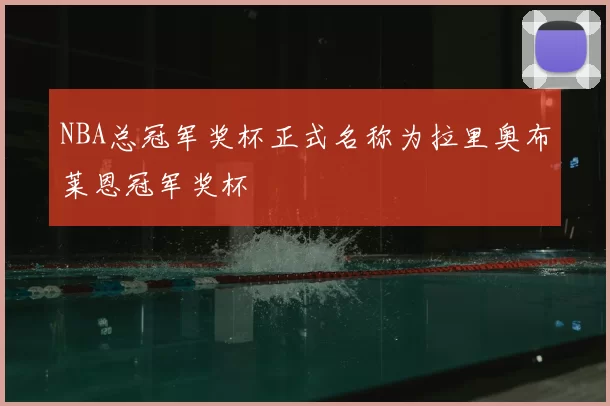 NBA总冠军奖杯正式名称为拉里奥布莱恩冠军奖杯