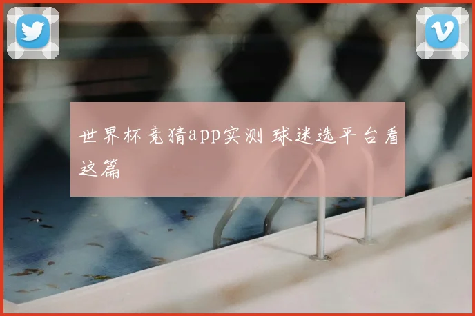 世界杯竞猜app实测 球迷选平台看这篇