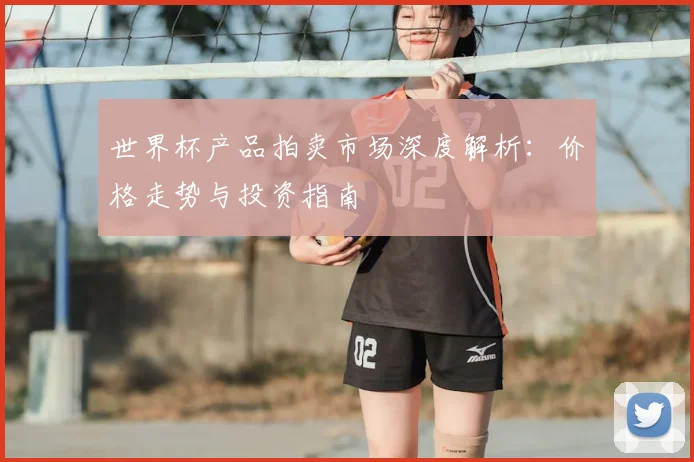 世界杯产品拍卖市场深度解析：价格走势与投资指南