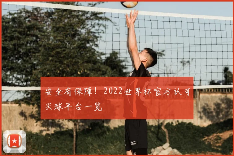安全有保障!2022世界杯官方认可买球平台一览