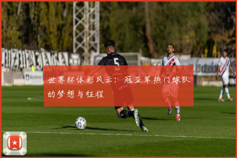 世界杯体彩风云:冠亚军热门球队的梦想与征程