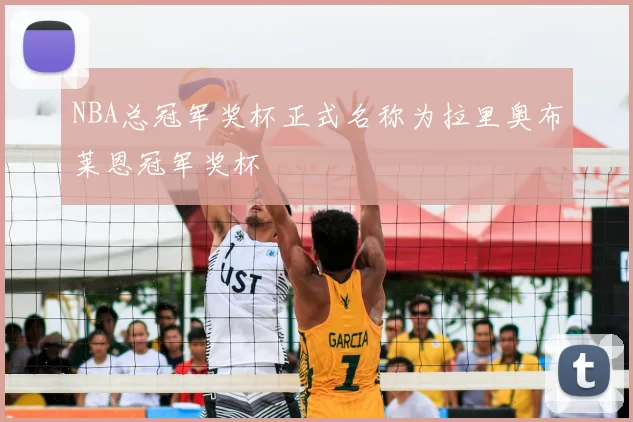 NBA总冠军奖杯正式名称为拉里奥布莱恩冠军奖杯