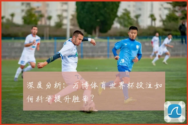 深度分析：万博体育世界杯投注如何科学提升胜率？