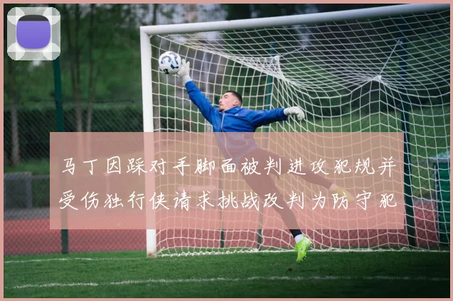 马丁因踩对手脚面被判进攻犯规并受伤独行侠请求挑战改判为防守犯规