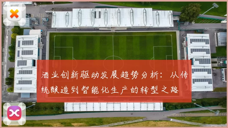 酒业创新驱动发展趋势分析：从传统酿造到智能化生产的转型之路