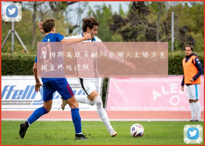 詹姆斯高效贡献30分湖人主场力克掘金终结连败