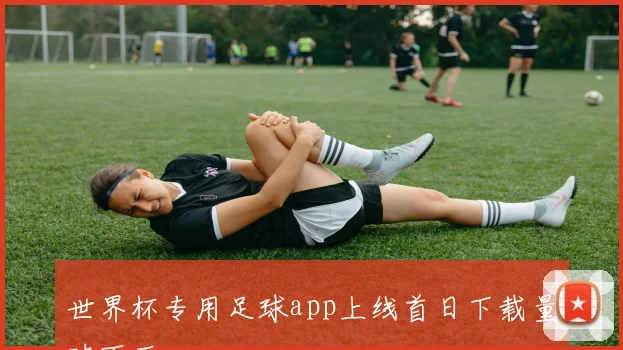 世界杯专用足球app上线首日下载量破百万