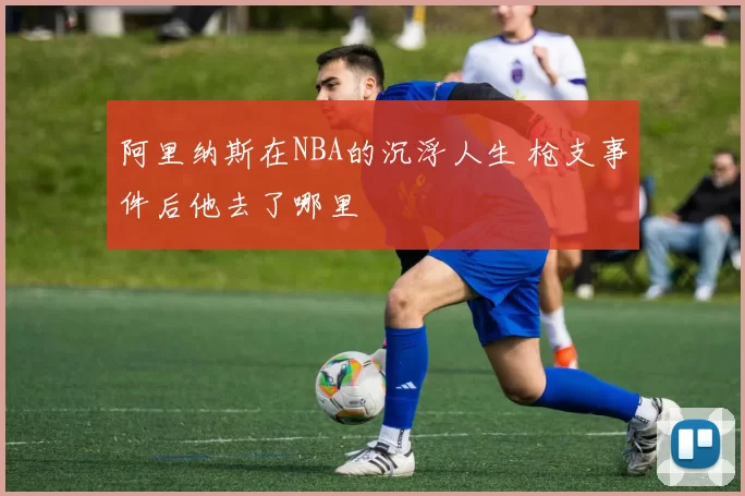阿里纳斯在NBA的沉浮人生 枪支事件后他去了哪里