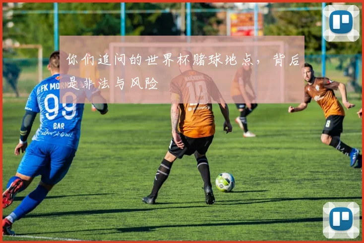 你们追问的世界杯赌球地点，背后是非法与风险