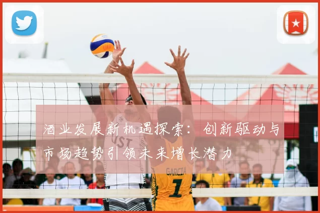 酒业发展新机遇探索：创新驱动与市场趋势引领未来增长潜力
