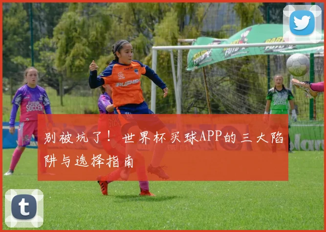 别被坑了!世界杯买球APP的三大陷阱与选择指南